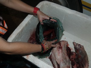 Carne de caça encontrada em operação na TO-010, em Palmas. Foto: Divulgação/FMA