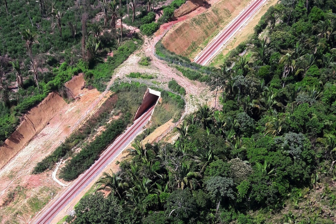 Passagem da fauna em trecho que corta a Floresta Nacional de Carajás. Foto: Ibama.