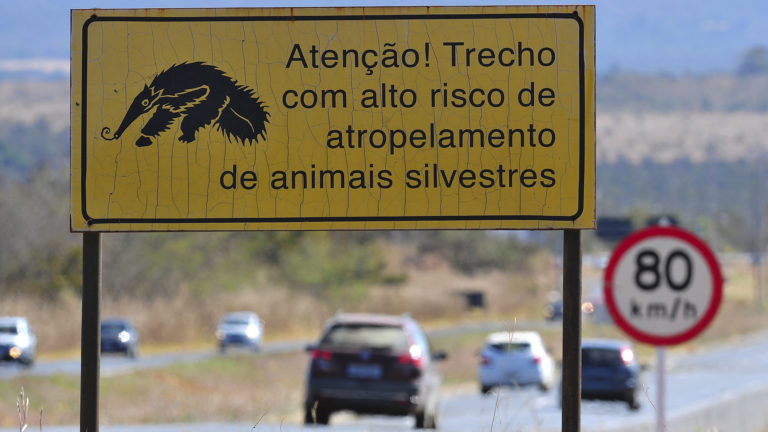 A sinalização é instalada em áreas onde é comum a travessia de animais. Foto: Tony Winston/Agência Brasília